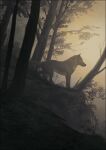  2021 ambiguous_gender canid canine canis detailed_background digital_media_(artwork) feral forest grass mammal oneminutesketch outside plant solo standing tree wolf 