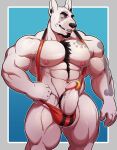  2018 5_fingers anthro barazoku beard big_muscles big_penis black_hair black_nose blue_eyes body_hair bulge canid canine canis chest_hair clothing domestic_dog ear_piercing erection eyebrows facial_hair fingers fur genital_piercing genitals glans grey_body grey_fur hair happy_trail happy_trial hi_res humanoid_genitalia humanoid_hands humanoid_penis knuxlight male mammal muscular muscular_anthro muscular_male nipples penis penis_piercing piercing pink_glans pink_nipples pit_bull prince_albert_piercing simple_background solo standing thick_eyebrows thick_penis undressing veiny_muscles white_body white_fur white_penis wrestling_singlet 