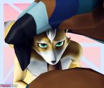  3d_(artwork) anthro anthro_on_anthro anthro_penetrated anthro_penetrating anthro_penetrating_anthro avian blue_body breath_of_the_wild canid canine digital_media_(artwork) fellatio first_person_view fox fox_mccloud fur genitals green_eyes hand_on_head hi_res kass_(tloz) looking_at_viewer male male/male male_penetrated mammal multicolored_body neondos nintendo nipples nude oral penetration penile penis pov_blowjob rito sex simple_background source_filmmaker star_fox the_legend_of_zelda video_games white_body white_fur yellow_body yellow_fur 