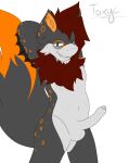  absurd_res anthro blue_blush brown_hair fur genitals grey_body grey_fur hair hi_res hybrid male penis solo toxyc toxyc_(toxyc) 