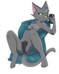  absurd_res anthro bodily_fluids bottomwear clothed clothing digital_media_(artwork) domestic_cat felid feline felis female genital_fluids green_eyes grey_body hands_between_legs hi_res holding_object looking_at_object looking_at_phone lying mammal masturbation panties raveneevee smile solo underwear 