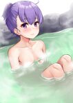  1girl absurdres blush breasts closed_mouth collarbone commentary eyebrows_visible_through_hair hair_between_eyes highres looking_at_viewer onsen partially_submerged purple_eyes purple_hair rock short_hair small_breasts smile solo tenneko_yuuri vocaloid voiceroid white_background yuzuki_yukari 