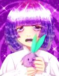  1girl artist_name cookie_run crying crying_with_eyes_open highres onion_cookie purple_eyes purple_hair solo stuffed_toy tears washiko 