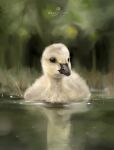  animal animal_focus artist_name bird black_eyes chinese_commentary closed_mouth dated duck duckling grass highres no_humans original pet procreate_(medium) realistic reflection swimming tienai tree water 