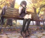  1girl autumn autumn_leaves bench black_dress black_hair black_legwear blue_eyes blush book brown_footwear collared_shirt commentary_request dress dress_shirt full_body hair_ornament hairclip highres holding holding_book kneehighs loafers long_sleeves looking_at_viewer missile228 on_bench original park_bench peeking pinafore_dress reading shirt shoes short_dress short_hair sitting solo white_shirt 