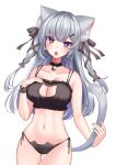  1girl :o absurdres animal_ear_fluff animal_ears ass_visible_through_thighs bare_arms bare_shoulders black_bra black_choker black_panties bra bracelet breasts bright_pupils cat_cutout cat_ears cat_girl cat_lingerie cat_tail chan&#039;nu choker cleavage cleavage_cutout clothing_cutout collarbone fang grey_hair hair_ornament hair_ribbon hairclip hand_on_own_chest hand_up highres jewelry large_breasts long_hair looking_at_viewer meme_attire navel open_mouth original panties red_eyes ribbon side-tie_panties solo stomach string_panties tail thigh_gap thighs two_side_up underwear 