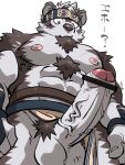  1boy ? abs ainu_clothes animal_ears bar_censor bara censored chest_hair clothing_aside commentary_request crotch erection feet_out_of_frame foreshortening foreskin from_below furry furry_male grey_fur grey_hair headband highres horkeu_kamui kirupi large_pectorals large_penis male_focus multicolored_hair muscular muscular_male nipples nude partial_commentary partially_translated pectorals pelvic_curtain pelvic_curtain_aside penis short_hair silver_hair solo stomach tokyo_afterschool_summoners translation_request two-tone_fur two-tone_hair veins veiny_penis white_fur wide-eyed wolf_boy wolf_ears 