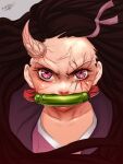  1girl absurdres angry artist_name bamboo black_hair brown_hair close-up collarbone demon_girl demon_horns gag hair_ribbon highres horns juan_romero kamado_nezuko kimetsu_no_yaiba long_hair looking_at_viewer multicolored_hair obi pink_eyes pink_ribbon ribbon sash signature single_horn solo two-tone_hair veins very_long_hair 