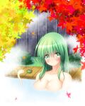  1girl autumn_leaves bangs blush breasts cleavage collarbone commentary_request expressive_clothes eyes_visible_through_hair frog_hair_ornament green_eyes green_hair hair_between_eyes hair_ornament hair_ornament_removed highres kochiya_sanae large_breasts looking_at_viewer nude onsen osashin_(osada) partially_submerged smile snake_hair_ornament solo split_mouth steam touhou x_x 