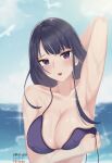  1girl amai-pai animal arm_under_breasts arm_up artist_name bangs bikini bikini_top bird black_hair blue_sky blurry blurry_background blush breast_hold breasts cleavage collarbone commentary covered_nipples day eyebrows_visible_through_hair genshin_impact highres large_breasts looking_at_viewer mole mole_under_eye open_mouth outdoors purple_bikini purple_eyes raiden_shogun sky solo swimsuit teeth untied untied_bikini upper_teeth water wet 