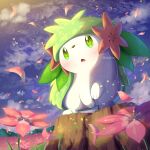  absurdres blush cloud commentary_request field flower flower_field green_eyes highres night no_humans open_mouth outdoors petals pink_flower pokemer pokemon pokemon_(creature) shaymin shaymin_(land) sky solo star_(sky) tongue twitter_username 