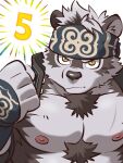  1boy ainu_clothes animal_ears bara bare_pectorals chest_hair chibi clenched_hand frown furry furry_male grey_fur grey_hair headband highres horkeu_kamui jacket jacket_on_shoulders kirupi large_pectorals male_focus multicolored_hair muscular muscular_male nipples no_shirt numbered pectorals short_hair silver_hair solo tokyo_afterschool_summoners two-tone_fur two-tone_hair upper_body white_fur wolf_boy wolf_ears yellow_eyes 