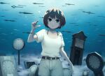  1girl bangs belt black_belt black_hair blue_eyes bubble clock grey_shorts hand_up original parted_lips shirt shirt_tucked_in short_hair short_sleeves shorts solo underwater white_shirt yajirushi_(chanoma) 