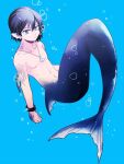  1boy air_bubble bangs black_hair blue_background blue_eyes bracelet bubble calem_(pokemon) clenched_hand closed_mouth collarbone commentary_request jewelry male_focus merman monster_boy necklace pokemon pokemon_(game) pokemon_xy scales shirou_(shiro_uzr) short_hair simple_background solo topless_male twitter_username underwater 