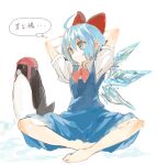  1girl bangs barefoot bird blue_dress blue_eyes blue_hair bow breasts check_translation cirno collared_shirt commentary_request dress hair_bow ice ice_wings indian_style konabetate neck_ribbon penguin pinafore_dress puffy_short_sleeves puffy_sleeves red_bow red_neckwear ribbon shirt short_hair short_sleeves sitting small_breasts solo thought_bubble touhou translation_request white_shirt wings 