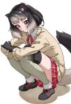  1girl alpine_marmot_(kemono_friends) animal_ears beige_jacket black_gloves black_hair brown_eyes commentary full_body gloves gradient_hair grey_hair head_tilt highres kemono_friends long_sleeves looking_at_viewer medium_hair miniskirt multicolored_hair plaid plaid_skirt red_skirt simple_background skirt smile solo split_mouth squatting tail tanabe_(fueisei) thighhighs white_background 