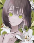  1girl absurdres bangs black_hair flower green_background green_eyes hand_up highres leaf lily_(flower) looking_at_viewer mile_(mil2) original plant portrait short_hair solo white_flower 