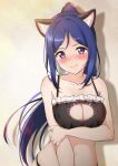  1girl absurdres animal_ear_fluff animal_ears black_bra blue_hair blush bra breast_hold breasts cat_cutout cat_ears cat_lingerie cleavage_cutout clothing_cutout collarbone embarrassed frilled_bra frills highres lingerie long_hair looking_at_viewer love_live! love_live!_sunshine!! matsuura_kanan medium_breasts meme_attire oku_1225 ponytail purple_eyes solo underwear underwear_only 