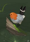  absurdres bird branch commentary_request feathers fletchling full_body highres looking_away moss no_humans pokemon pokemon_(creature) realistic ripples signature solo standing water yunimaru 