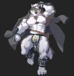  1boy abs ainu_clothes animal_ears bandaged_foot bandages bara bare_pectorals belt brown_belt bulge chest_hair full_body furry furry_male grey_fur grey_hair headband horkeu_kamui jacket jacket_on_shoulders large_pectorals male_focus multicolored_hair muscular muscular_male navel nipples no_shirt pectorals pelvic_curtain rollingstonex6 short_hair silver_hair solo stomach tail thick_thighs thighs tokyo_afterschool_summoners two-tone_fur two-tone_hair white_fur wolf_boy wolf_ears wolf_tail yellow_eyes 