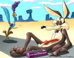  karabiner looney_tunes roadrunner tagme wile_e_coyote 