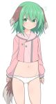  1girl animal_ears bangs blush commentary_request dog_ears dog_girl dog_tail eyebrows_visible_through_hair green_hair kasodani_kyouko kazawa_(tonzura-d) long_sleeves no_pants panties pink_shirt shirt short_hair simple_background solo tail touhou underwear white_background white_panties 