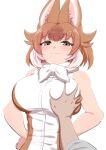  1girl :3 animal_ears bangs bare_arms bare_shoulders breast_grab breasts brown_hair closed_mouth deep_skin dhole_(kemono_friends) dog_ears eyebrows_visible_through_hair grabbing grey_eyes half-closed_eyes hands_on_hips highres kemono_friends kemono_friends_3 large_breasts looking_at_viewer mamiyama medium_hair pov pov_hands shirt simple_background sleeveless sleeveless_shirt smile smug solo_focus upper_body white_background white_hair 