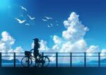  1girl bicycle bird blue_sky cloud commentary_request day fence flying ground_vehicle hachio81 hat highres island long_hair ocean original scenery silhouette sky solo summer sunlight 