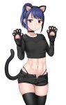  1girl :o abs animal_ears animal_hands bangs black_choker black_legwear black_panties black_shirt black_shorts blue_sky breasts cat_ears cat_paws cat_tail choker collarbone commentary_request cowboy_shot crop_top eyebrows_visible_through_hair fake_animal_ears fake_tail gloves hands_up hashi highleg highleg_panties long_hair long_sleeves looking_at_viewer midriff navel open_fly original panties parted_lips paw_gloves ponytail purple_eyes shirt short_shorts shorts sidelocks simple_background skindentation sky small_breasts solo standing tail thighhighs underwear white_background 