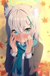  1girl :t absurdres animal_ear_fluff animal_ears autumn_leaves bangs black_jacket blue_archive blue_eyes blue_scarf blush closed_mouth collared_shirt commentary eyebrows_visible_through_hair grey_hair hair_between_eyes hair_ornament halo hands_up highres jacket leaf long_sleeves looking_at_viewer maple_leaf open_clothes open_jacket rindou_ringdong scarf school_uniform shiroko_(blue_archive) shirt solo upper_body white_shirt 