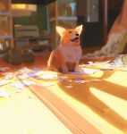  animal_focus blurry blurry_background dog highres indoors no_humans original painting room shoes snatti sunlight tongue tongue_out two-tone_fur welsh_corgi 