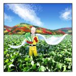  1boy ^_^ absurdres bald cabbage cape closed_eyes farm food gloves grin highres holding holding_food male_focus one-punch_man photo-referenced plant saitama_(one-punch_man) shimoda sky smile solo 