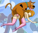  daphne_blake palcomix scooby scooby-doo tagme 