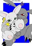  digimon gatomon gazimon pagumon tagme 