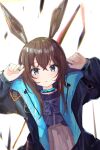  1girl amiya_(arknights) animal_ears arknights bangs black_coat blue_eyes brown_hair bunny_pose coat collar commentary_request eyebrows_visible_through_hair hair_between_eyes highres jewelry long_hair long_sleeves looking_at_viewer parted_lips rabbit_ears ring sateto_(user_knrf2332) sidelocks simple_background solo white_background 