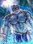  1boy abs ainu_clothes animal_ears bara blue_male_swimwear blush bulge chest_hair feet_out_of_frame furry furry_male grey_fur grey_hair headband horkeu_kamui large_pectorals male_focus male_swimwear muscular muscular_male navel nipples pectorals short_hair silver_hair smile solo stomach sunlight swim_briefs swimsuit tail tokyo_afterschool_summoners topless_male two-tone_fur wading water wet wet_clothes wet_swimsuit white_fur wolf_boy wolf_ears wolf_tail yellow_eyes yukihoshi 