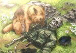  bone commentary death dog flower german_shepherd ginziro grass gun military military_uniform original outdoors rock skeleton skull soldier uniform weapon 