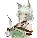  1girl animal_ears arknights bangs bare_shoulders blunt_bangs cat_ears cat_girl chinese_commentary closed_mouth commentary_request green_eyes halterneck highres kal&#039;tsit_(arknights) luozhou_pile oripathy_lesion_(arknights) short_hair silver_hair simple_background solo stethoscope syringe upper_body white_background 