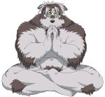  1boy abs ainu_clothes animal_ears bara chest_hair closed_eyes completely_nude cross_scar crossed_legs full_body furry furry_male grey_fur grey_hair headband horkeu_kamui male_focus muscular muscular_male navel nude own_hands_together palms_together pectorals praying rossciaco scar short_hair silver_hair solo stomach tokyo_afterschool_summoners two-tone_fur white_background white_fur wolf_boy wolf_ears yellow_eyes 
