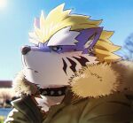  1boy alternate_costume animal_ears bara blonde_hair blue_fur blush brown_coat coat collar ears face fang fenrir_(housamo) from_side fur-trimmed_coat fur_trim furry furry_male looking_at_viewer male_focus medium_hair mohawk rossciaco solo spiked_collar spikes sunlight tokyo_afterschool_summoners two-tone_fur white_fur winter_clothes wolf_boy wolf_ears 