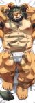  1boy abs animal_ears armpit_hair armpits arsalan_(housamo) bara blonde_hair blush brown_fur bulge chest_hair dakimakura_(medium) flaccid full_body fundoshi furry furry_male green_hair japanese_clothes large_pectorals lion_boy lion_ears lion_tail looking_at_viewer male_focus male_underwear mature_male medium_hair multicolored_hair muscular muscular_male navel nipples on_bed pectorals rossciaco sample solo stomach tail thick_thighs thighs tokyo_afterschool_summoners topless_male two-tone_hair underwear underwear_only watermark white_male_underwear 