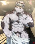  1boy abs ainu_clothes animal_ears bara chest_hair furry furry_male grey_fur grey_hair headband highres holding holding_phone horkeu_kamui large_pectorals locked_arms looking_at_viewer male_focus male_pubic_hair muscular muscular_male naked_towel navel nipples pectorals penis penis_peek phone pubic_hair rossciaco scar scar_on_arm scar_on_chest selfie short_hair silver_hair solo stomach thighs tokyo_afterschool_summoners topless_male towel two-tone_fur wet white_fur wolf_boy wolf_ears yellow_eyes 