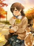  1girl animal autumn autumn_leaves bag bangs black_hair black_legwear blurry blurry_background bow brown_cardigan brown_eyes cardigan cat collared_shirt commentary_request depth_of_field eyebrows_visible_through_hair food grey_skirt hair_bun hair_ornament hairclip highres hisao_0111 holding holding_food lamppost on_bench original outdoors pantyhose plaid plaid_bow plaid_skirt pleated_skirt school_bag school_uniform shirt sitting skirt solo sunset taiyaki wagashi white_shirt x_hair_ornament yellow_bow 