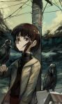  1girl absurdres bangs bird bird_on_hand black_sweater brown_eyes brown_hair commentary crow hair_ornament hand_up highres iwakura_lain jacket kornod looking_at_viewer power_lines serial_experiments_lain short_hair solo standing sweater turtleneck turtleneck_sweater upper_body utility_pole x_hair_ornament yellow_jacket 