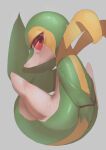  absurdres azre closed_mouth commentary_request eyelashes grey_background highres looking_at_viewer no_humans pokemon pokemon_(creature) red_eyes shiny simple_background snivy solo 