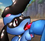  lucario pokemon riolu tagme 