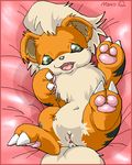  aliasing anus canine cub female green_eyes growlithe looking_at_viewer lying mammal meru moroq nintendo on_back open_mouth pawpads pok&#233;mon pokemon pussy solo teeth video_games young 