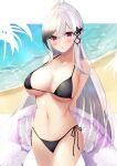  1girl absurdres azur_lane beach bikini black_bikini black_butterfly braid breasts bug butterfly dunkerque_(azur_lane) french_braid grey_hair hair_ornament highres holding holding_innertube innertube large_breasts long_hair looking_at_viewer purple_eyes side-tie_bikini solo standing swimsuit very_long_hair ymmn_hfs 