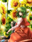  1girl black_legwear blush clear_sky dress field flower flower_field garden green_hair jacket kazami_yuuka lens_flare noisyu puddle red_dress red_eyes red_skirt short_hair skirt sky smile sunflower touhou umbrella 