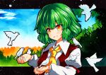  1girl :d ascot bangs bird bird_on_hand blue_sky eyebrows_visible_through_hair grass green_hair juliet_sleeves kazami_yuuka long_sleeves looking_at_animal looking_at_viewer multicolored_eyes open_mouth orange_eyes outdoors plaid plaid_vest puffy_sleeves qqqrinkappp red_vest short_hair sky smile touhou traditional_media upper_body vest white_bird yellow_ascot 